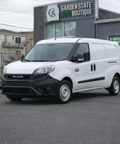 2020 Ram ProMaster City Cargo Van