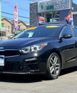 2019 Kia Forte EX